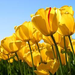 Праздник день деревни Глебовское