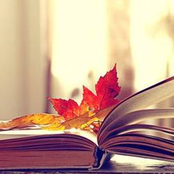 День открытых дверей ко Дню знаний в МВЦ