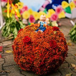 Фестиваль «Цветы Костромы»