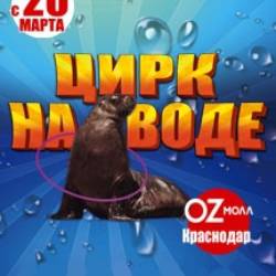Цирк Aqua Show