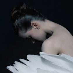 Лебединое озеро