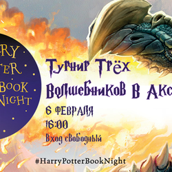 Программа «Турнир трех волшебников в Аксаковке»