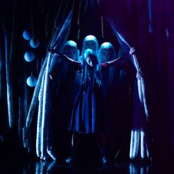 Балет в трех частях Сказки Перро