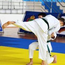 Второй этап Кубка губернатора по дзюдо в Пензе