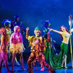 Подводная феерия «Русалочка»