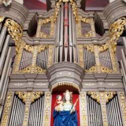 Дневной органный концерт.