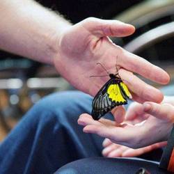 Беседа «Хорошие и плохие поступки», Гребенская