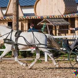 Конно-спортивные соревнования «Владимирский Тракт»