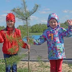 Экологический урок «Деревья – украшение Земли»