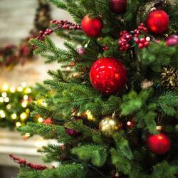 Мюзикл «Иван да Марья»