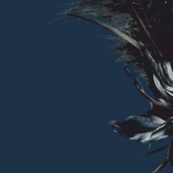 Оперетта «Летучая мышь»