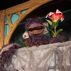 Спектакль «Аленький цветочек»