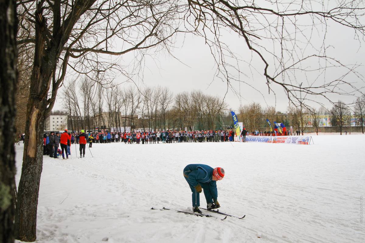 лыжня россии 2022 кострома. лыжная трасса малышково. лыжная трасса кострома малышково сосновый бор. кострома лыжня. лыжня чижово кострома.