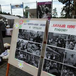 Благотворительная акция "Белый цветок"